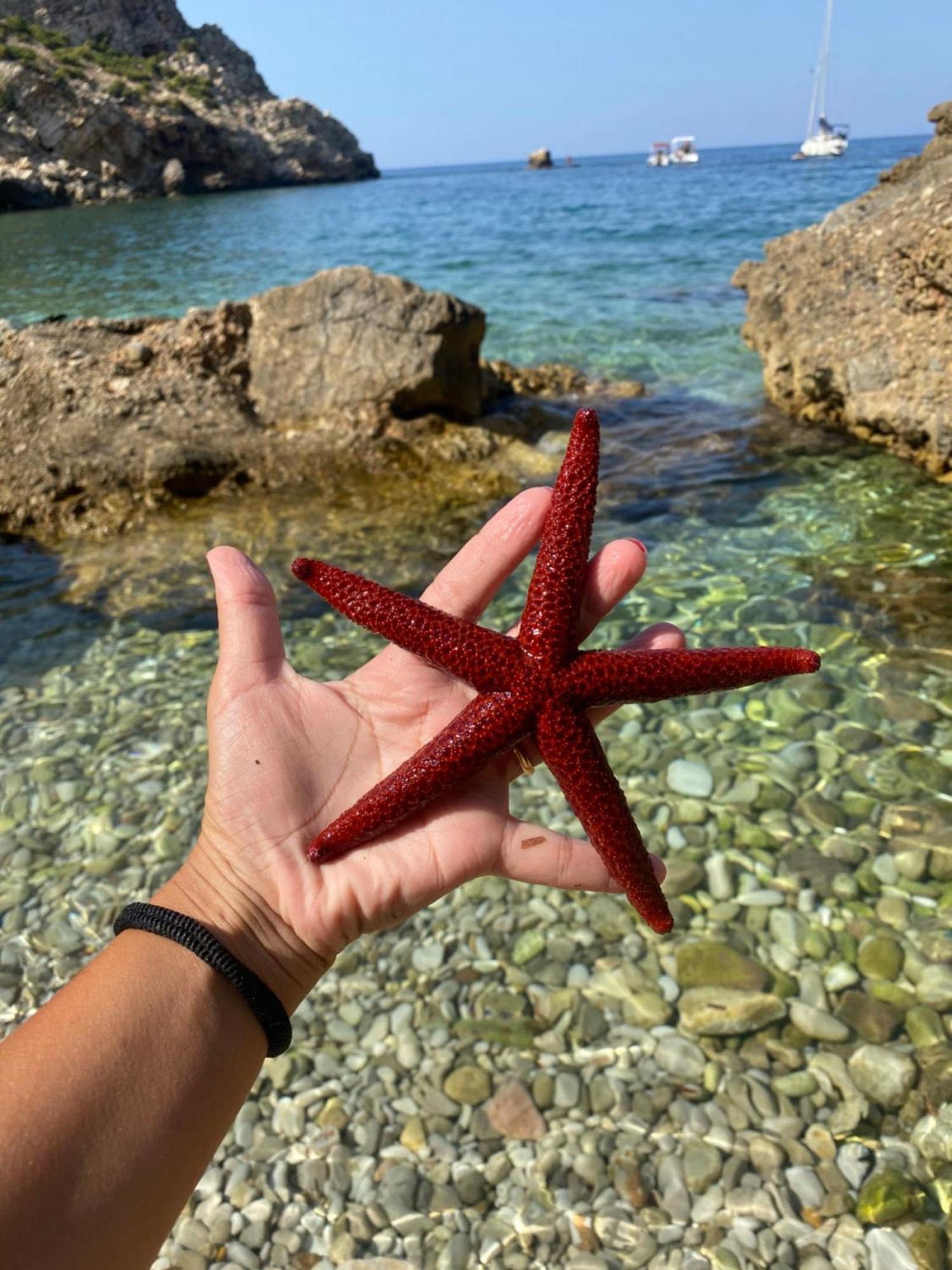 Appartamento Barone Castellammare del Golfo Kültér fotó